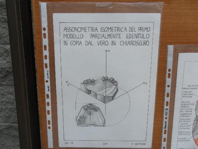 Disegni anatomici